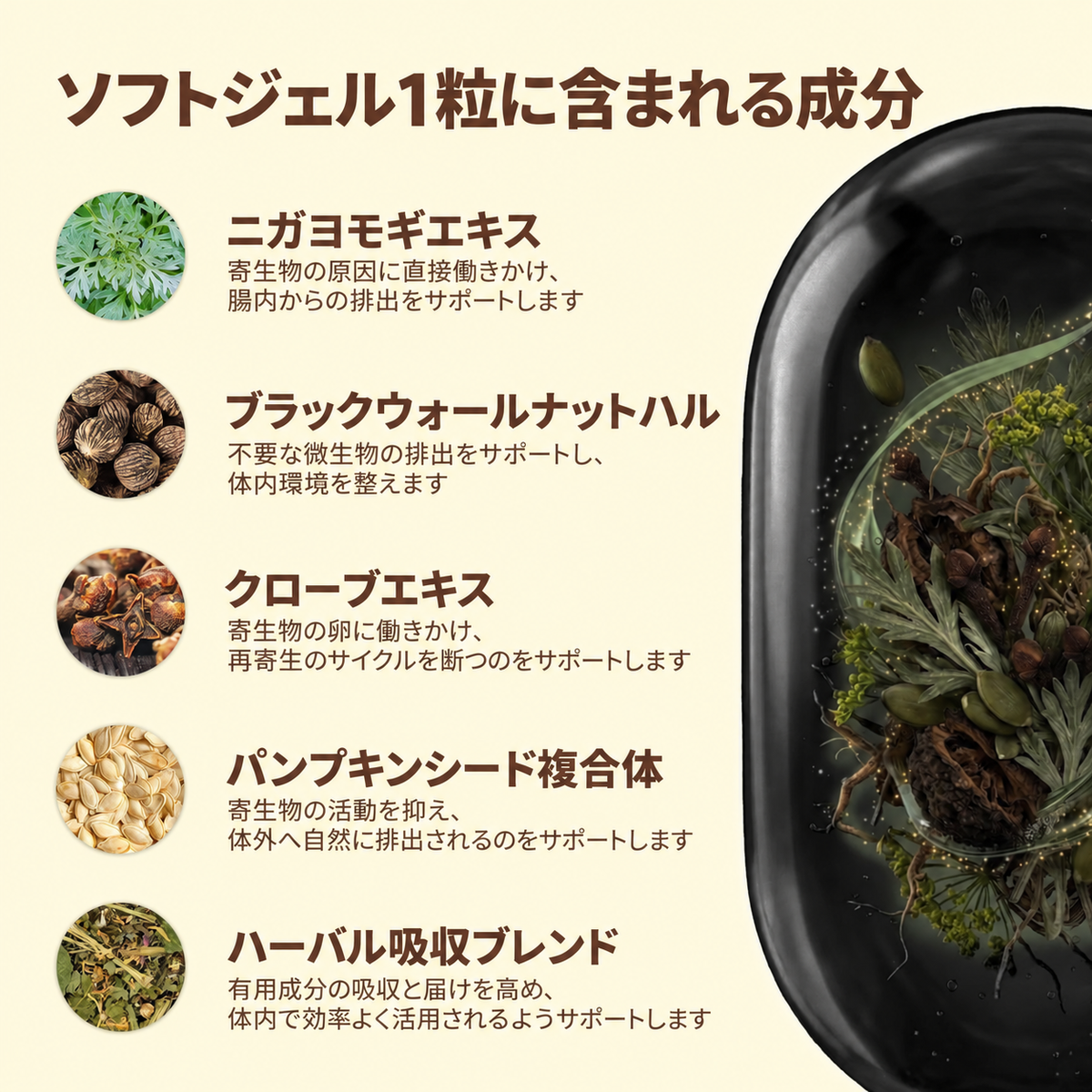 ワームウッド、ブラックウォルナット、クローブで隠れた寄生虫や幼虫を排出しよう